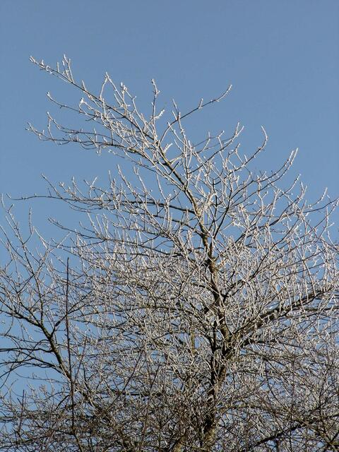 Schnell noch ablichten...