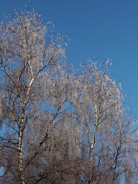 .... bevor die Sonne den ....