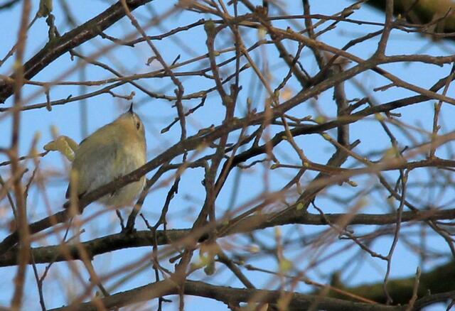 Von unten gesehen...