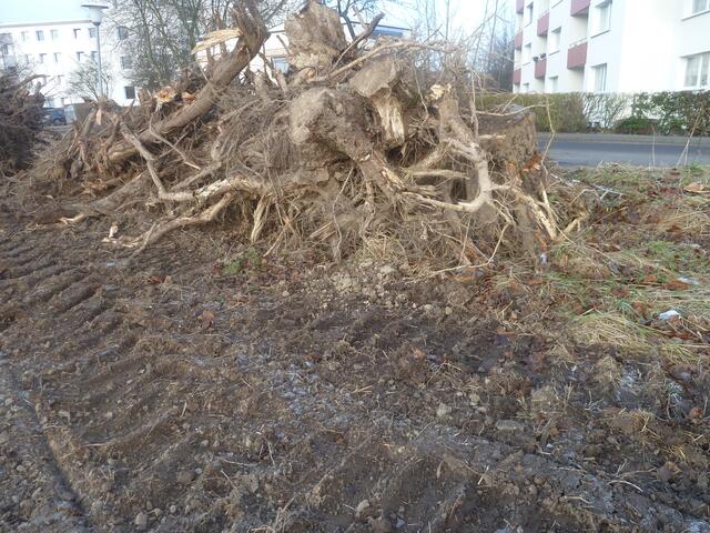 Ein trauriger Haufen.