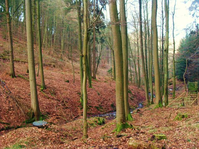 In der Rohrleitung den Berg hinab und drüben wieder hinauf zum Bassin.