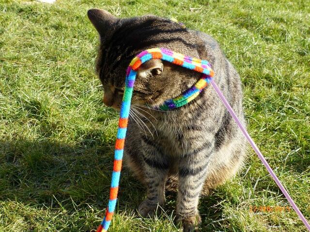 Fritz: Bist du sicher, Merlin - irgendwie mache ich wohl was falsch, oder?!?