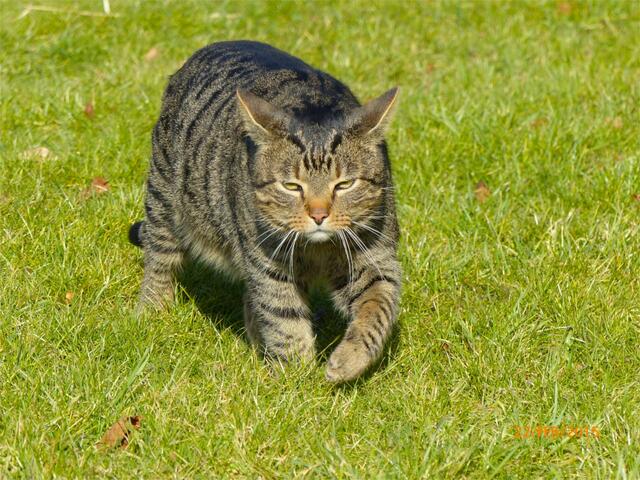 Fritz: Das ist so deprimierend - früher fanden die Mädels mich alle einfach nur toll .... :-(