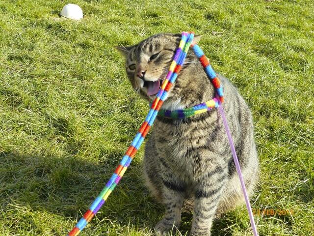 Fritz: Äh - ich weiß nicht, ob das für mich so das Richtige ist ....!?!