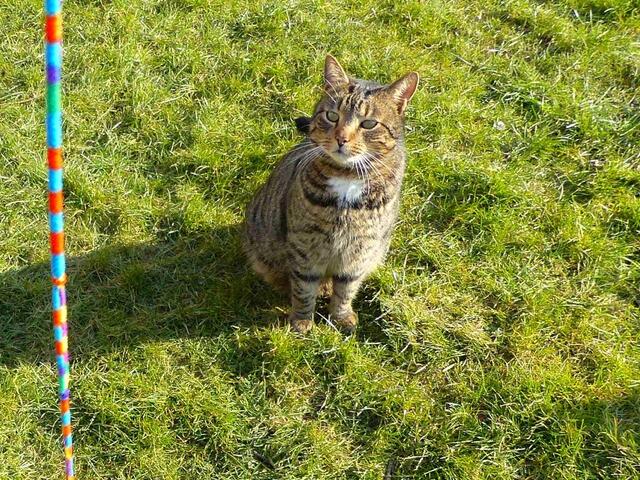 Fritz: Mit dem Ding???