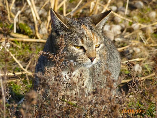 Mona: Mal überlegen, was ich mache ....
