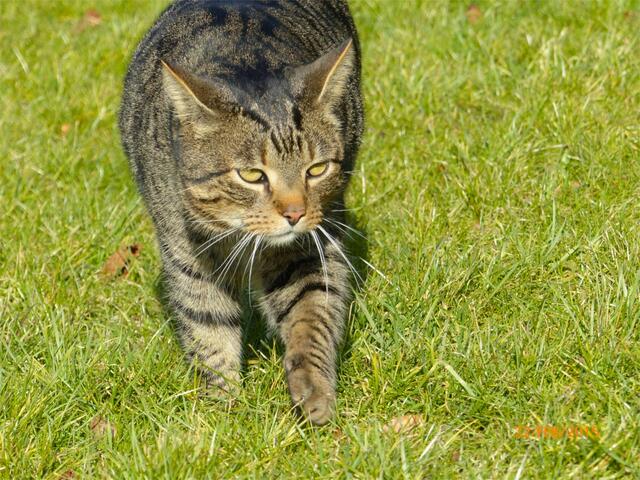 Fritz: Ich muss dringend wieder etwas sportlicher werden!!!