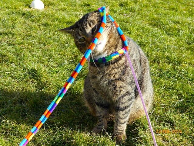 Fritz: Nee ... das kann so nicht gewollt sein ...!!!