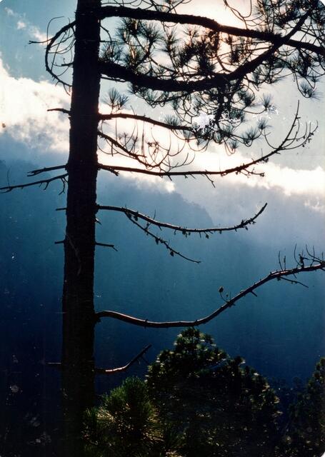 Unter der Passatwolke