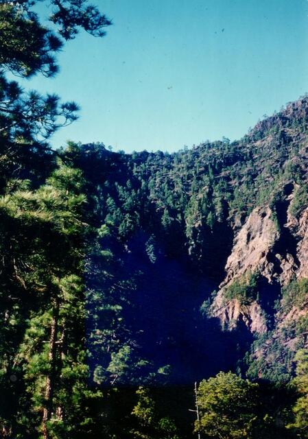 Caldera de Taburiente