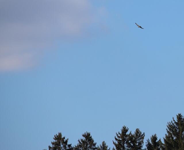 Wer fliegt denn da?