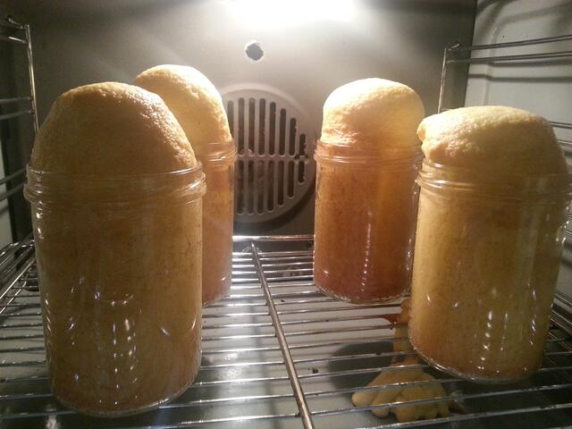 Der Zitronenkuchen will hoch hinaus!