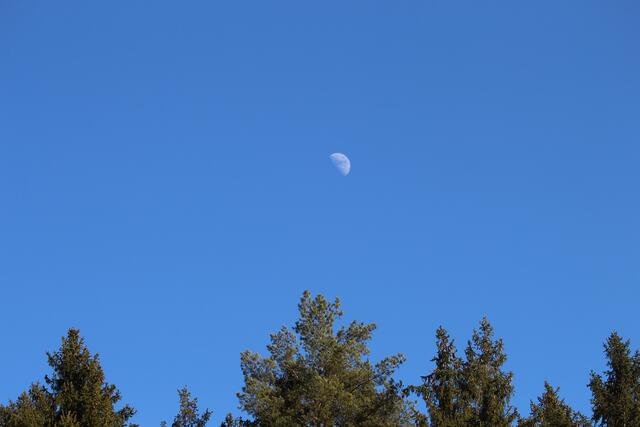 Der Mond ist schon mittags aufgegangen.