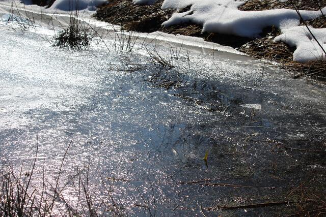 Die Sonne lässt die Oberfläche des Wassers glitzern.