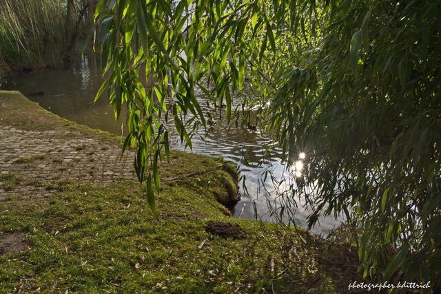 Teich im Stadtpark