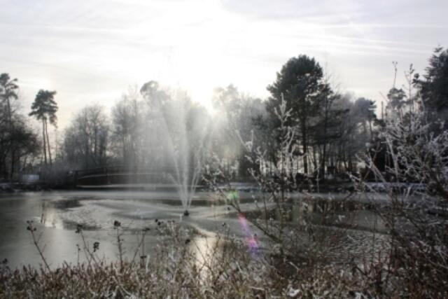 Winterlicher Teich Nähe Klinik Lahnhöhe