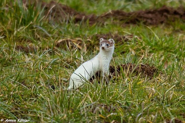 hier sehe ich besser