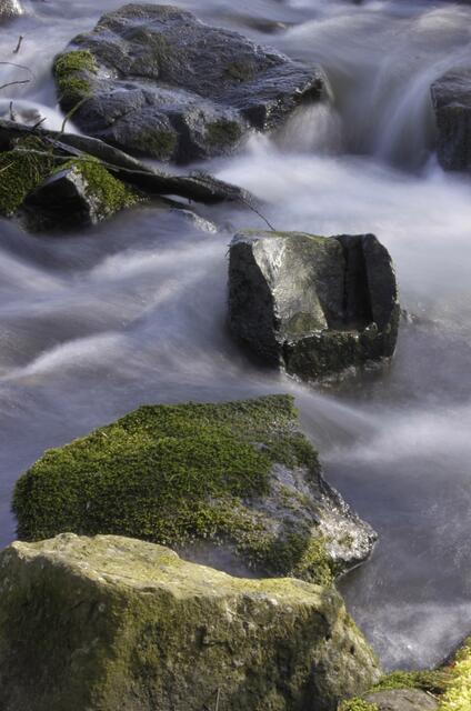 Hat doch einen mediativen Charakter, oder nicht?