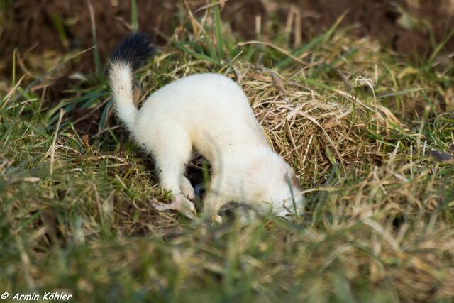 Mal sehen was da drinnen ist