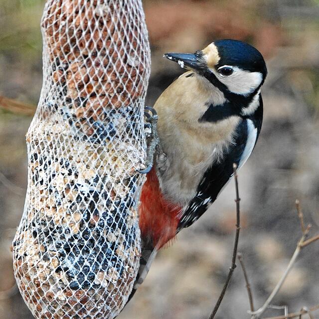 "Na, gut geschafft?" "Ja, jetzt geht es an die andere Kornsorte!"