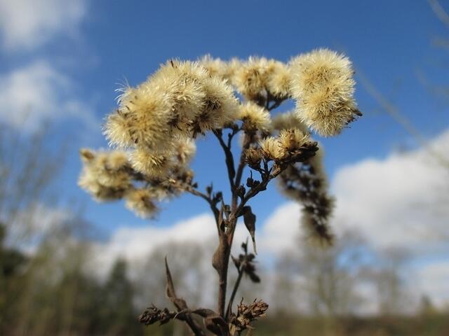 So ein Wetter wünsche ich Euch allen !!!   lg Gaby