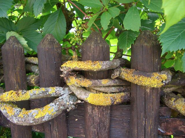 Zusammenhalt -