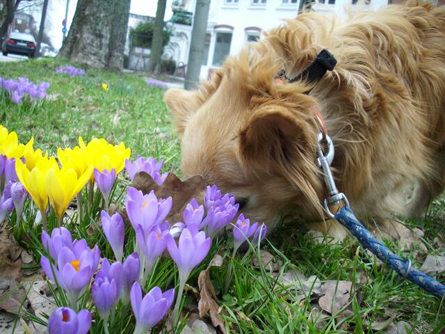 Das Riecht nach Frühling.