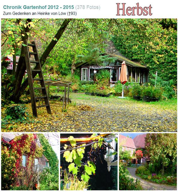 Bunte Blätterpracht im Herbst 2014