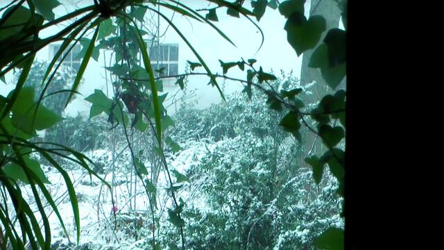 Winter 2015 - Blick auf den Hof
