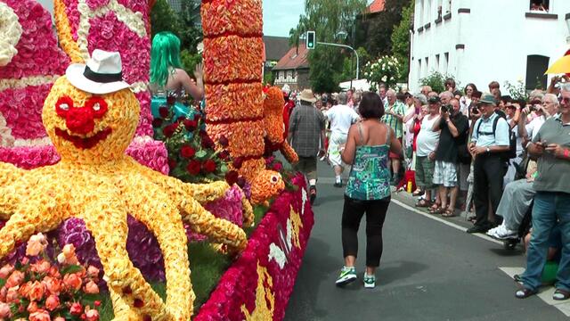 Für das Schmücken der Wagen werden jährlich bis zu 300.000 Rosenblüten verarbeitet.