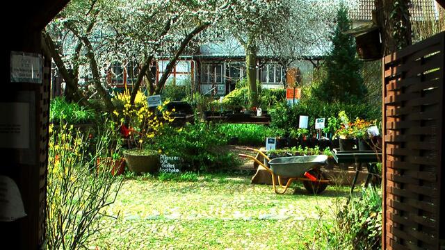 Der Gartenhof im Frühjahr ...