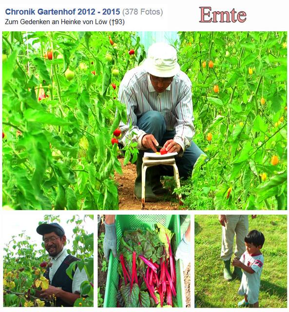 2,5 Hektar Land haben die Japaner von den Löw´s gepachtet und praktizieren seither eine in Deutschland nahezu einzigartige natürliche Landwirtschaft -->
https://www.facebook.com/notes/max-bryan/shumei-natural-farm/498883896796197