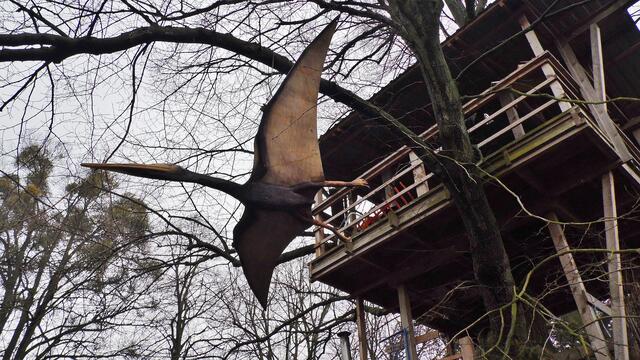 Jurassic Park auf Schloss Marienthal - am 14.3.2015 !