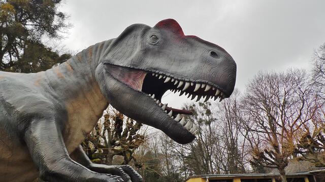 Jurassic Park auf Schloss Marienthal - am 14.3.2015 !
