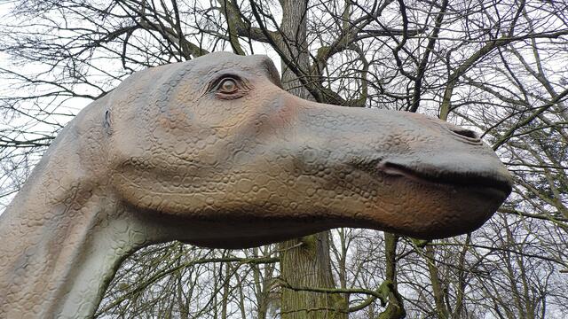 Jurassic Park auf Schloss Marienthal - am 14.3.2015 !