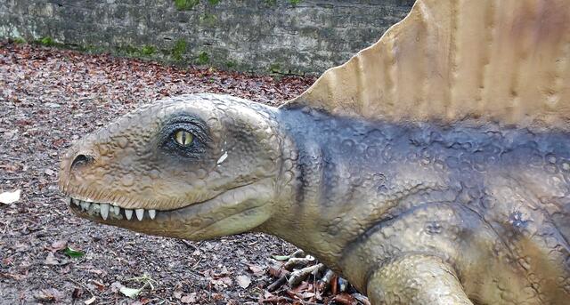 Jurassic Park auf Schloss Marienthal - am 14.3.2015 !