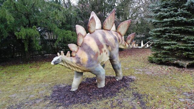 Jurassic Park auf Schloss Marienthal - am 14.3.2015 !
