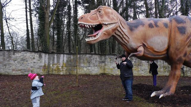 Jurassic Park auf Schloss Marienthal - am 14.3.2015 !
