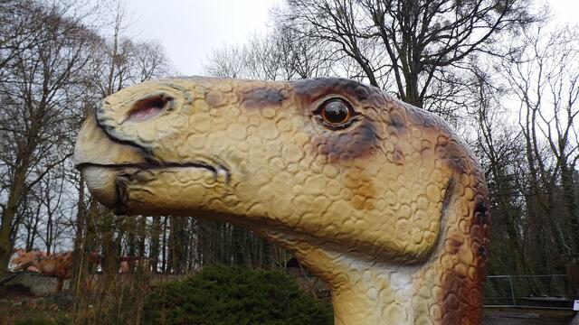 Jurassic Park auf Schloss Marienthal - am 14.3.2015 !