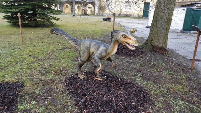 Jurassic Park auf Schloss Marienthal - am 14.3.2015 !