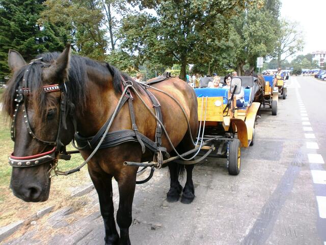 Nun gut fahren wir mit der Kutsche zur Festung und gehen zu Fuß zurück. Ich freue mich darüber, meine Begleiterin nicht so. Sie war auf eine Wanderung eingestellt. Aber sie willigt doch ein mit der Kutsche mitzufahren.