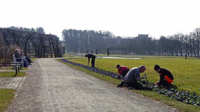 Pflanzaktion im Schlossgarten. Foto: Helmut Kuzina