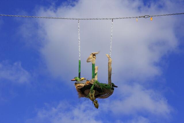 Gisela Leonhardt: "Entennest"