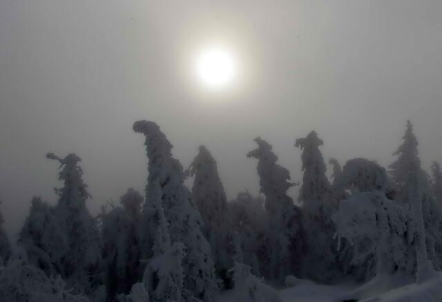 4.1.2011, hoch oben am Brocken.