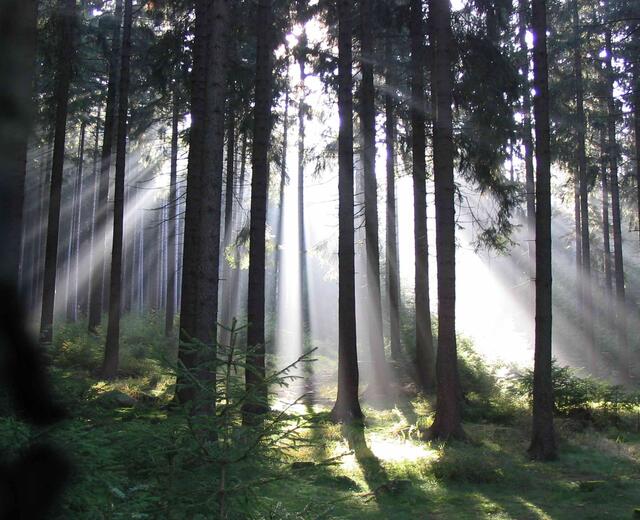 Nur das Licht der Sonne ermöglicht den Großteil des Lebens auf der Erde. Und nur durch einen Glücksfall steht unser blauer Planet genau im richtigen Abstand zu ihr, in der sogenannten habitablen Zone. Die Menschheit sollte vorsichtiger mit diesem empfindlichen Biotop umgehen, es pfleglicher behandeln und diesen wertvollen Lebensraum nicht vernichten, wie es seit Beginn der Industriellen Revolution geschieht. Ist der Punkt der Rettunge der Erde für ein vermünftiges menschliches Leben schon überschritten?