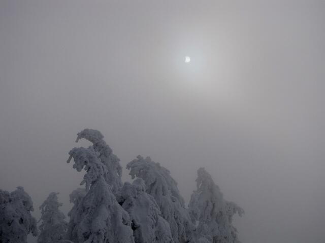 In Hannover ist es dicht bewölkt. In über 1000 Meter Höhe scheint die Sonne durch den dichten Nebel.