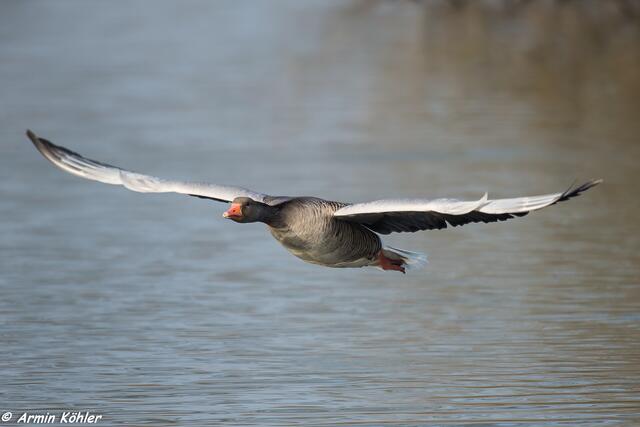 Abflug