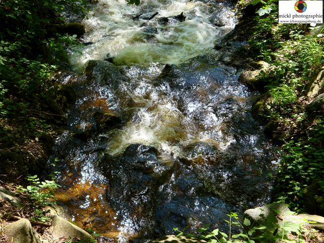 Foto: Michael Ortner - http://www.ichmagaugsburg.de