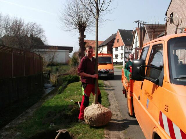 3. Ein Mann - ein Baum!