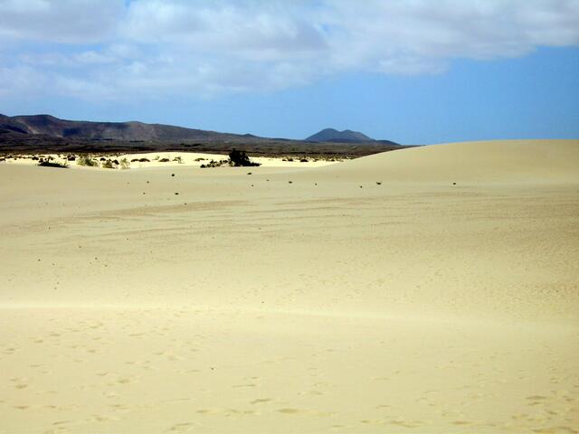 Dünen bei Los Corralejos